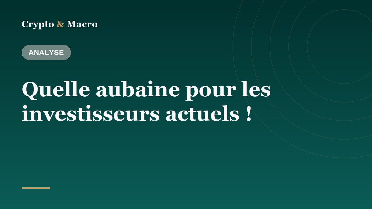 Quelle aubaine pour les investisseurs actuels !